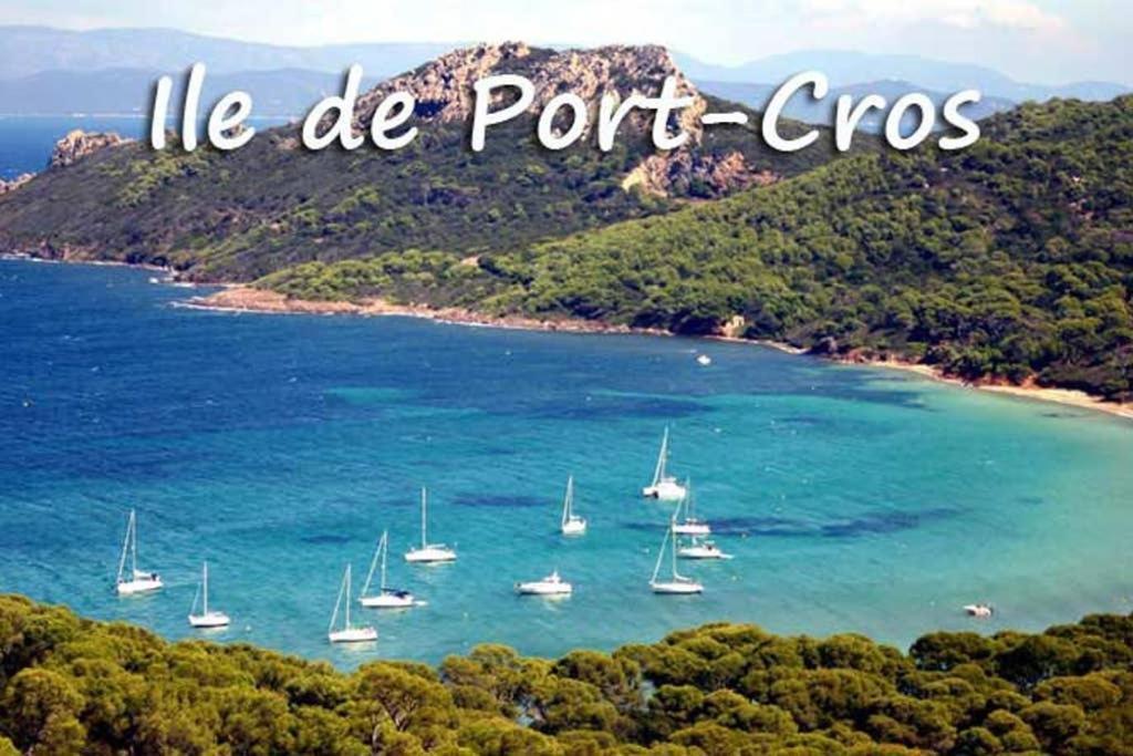 Studio Port De Hyeres Proche Des Plages Kültér fotó